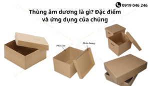 Thùng âm dương là gì? Đặc điểm và ứng dụng của chúng